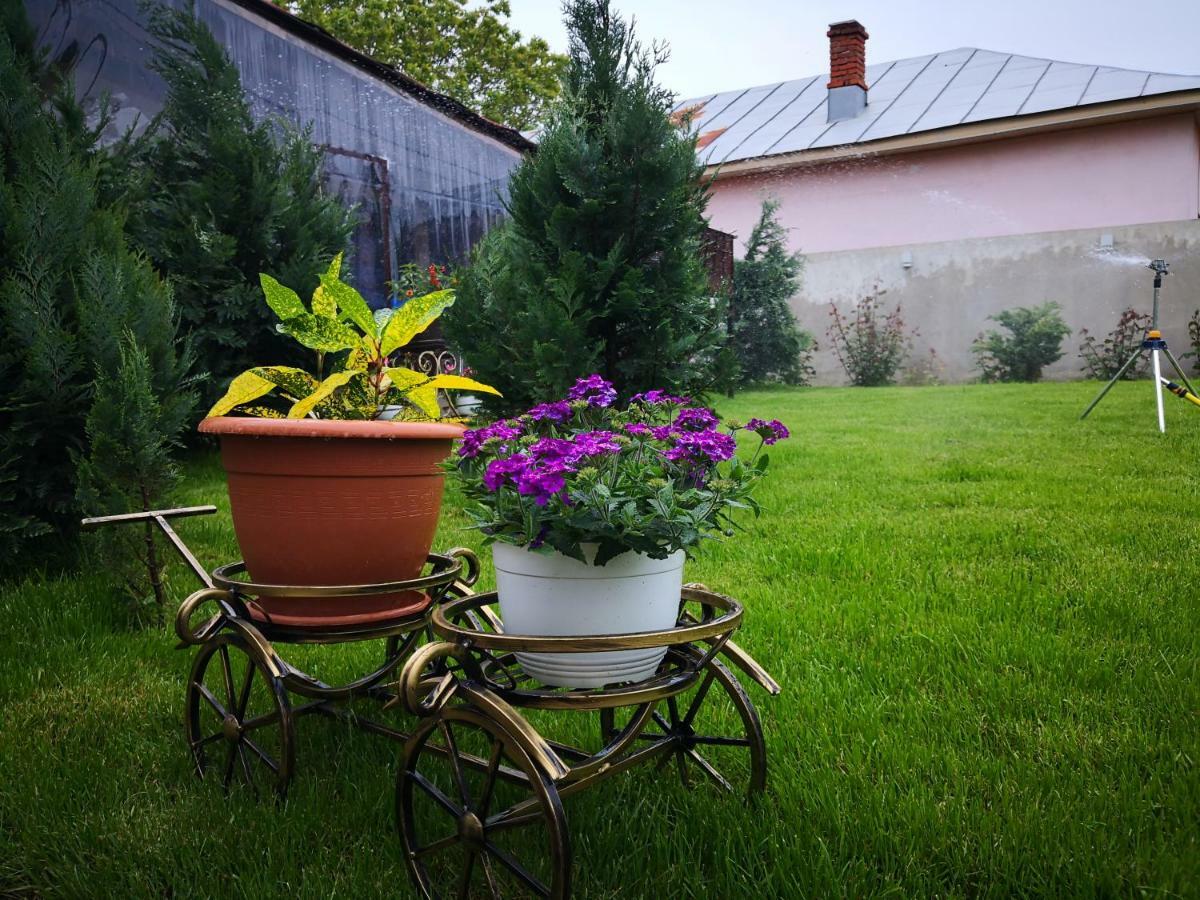 Dnt House &Spa Circea Экстерьер фото